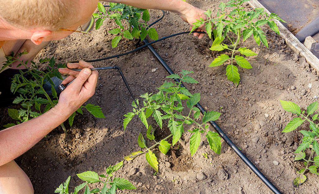 types-of-drip-irrigation-2022-section-2